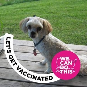 Meet your Posher, Judy